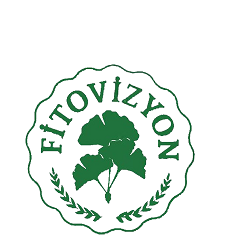 Fitovizyon