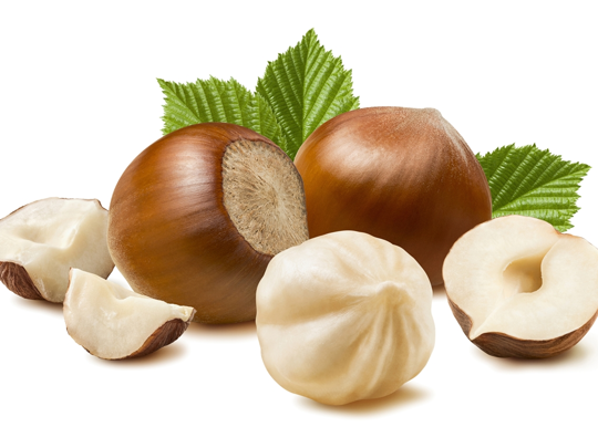 Fındık Yağı resmi