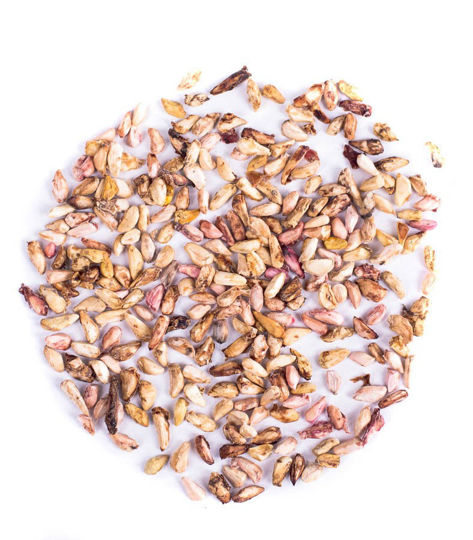  Nar Çekirdeği Yağı resmi